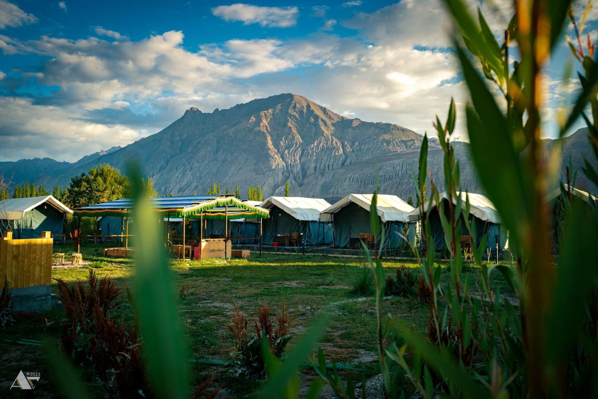 Green Throne Camp Bed & Breakfast Leh Exterior photo